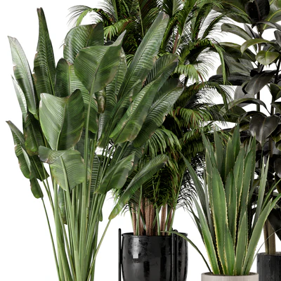 Indoor Plants in Ferm Living Bau Pot Large - Set 572 — Вид 3