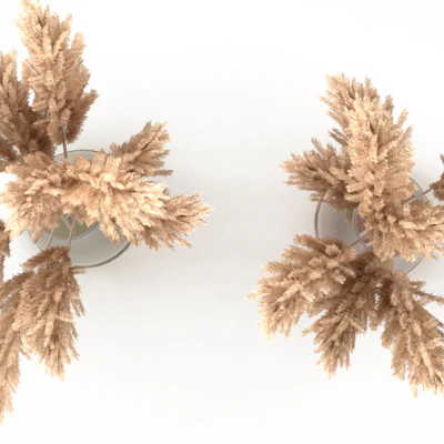 Bouquet of pampas grass — View 3