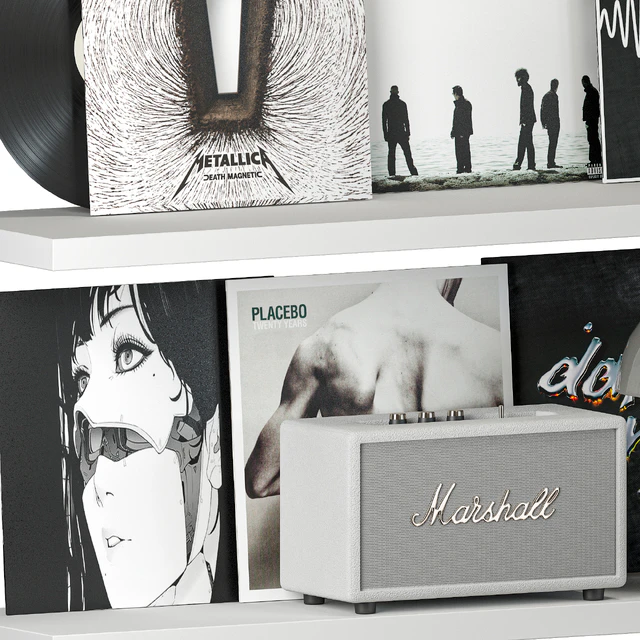 Shelf with Vinyl Records and Music equipment — Скачать