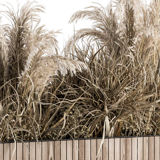 indoor Plant Set 122- Dried Plants in Wood Stand — Descargar