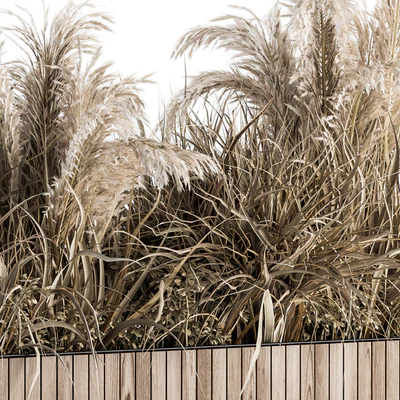 indoor Plant Set 122- Dried Plants in Wood Stand — Ver 3