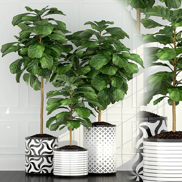 Plants collection 63 — Скачать