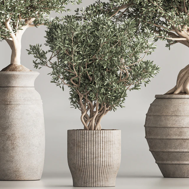 Indoor Plant Set 53 — Descargar