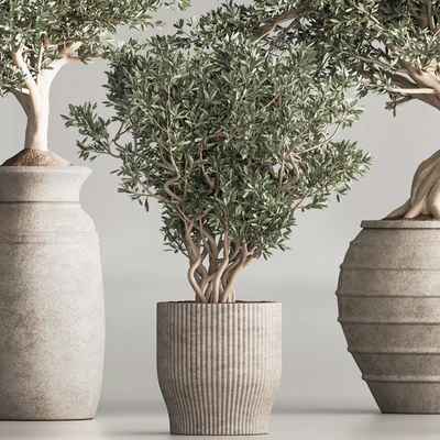 Indoor Plant Set 53 — Ver 4