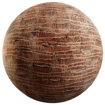 palm bark 004 — Descargar