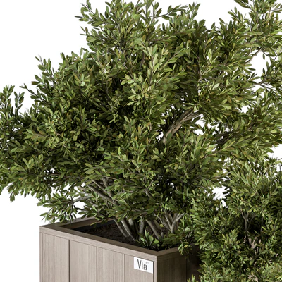 Outdoor Plant Set 298 - Wooden Plant Box — Ver 2