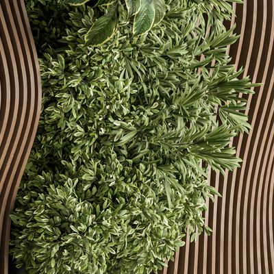Vertical Garden Wood Parametric Wall - Wall Decor 30 — Вид 3