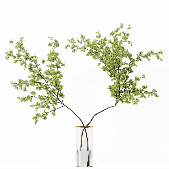 Collection Indoor Plants 037 — Descargar