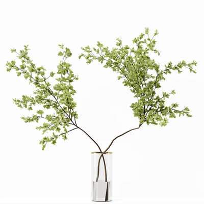 Collection Indoor Plants 037 — Ver 6