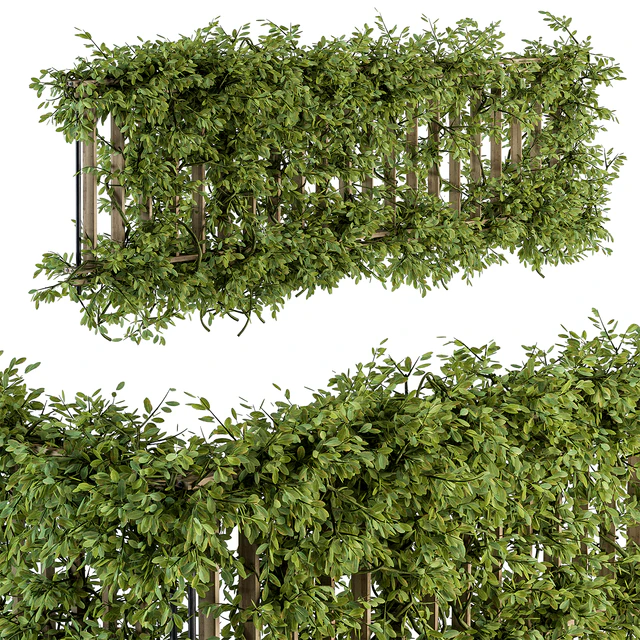 Outdoor Wood Fence with Ivy Plants - Fence 07 — Скачать