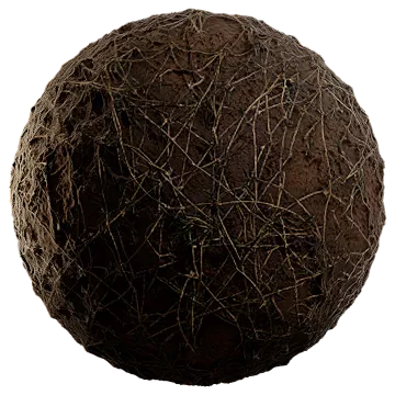dried scarce grass 008 — Descargar