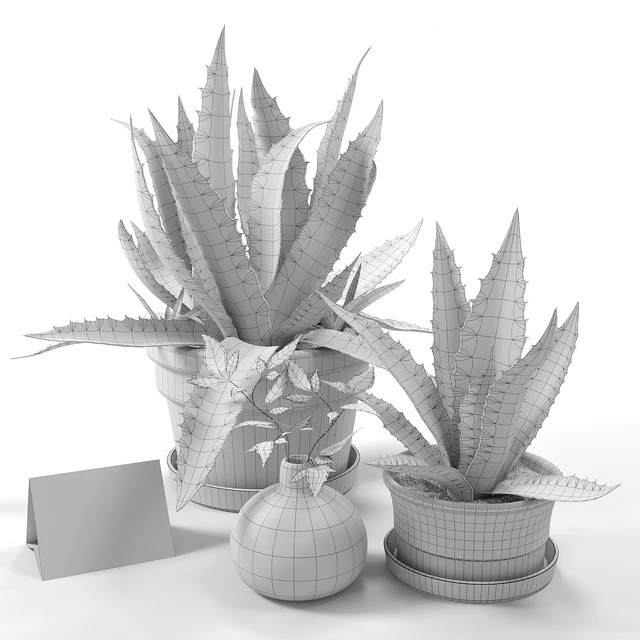 Agave set 01 — Скачать