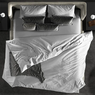 Minotti creed bed, Minotti Jacques chair — Ver 2
