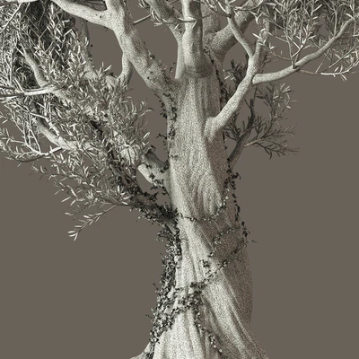 Olive Tree With Vines — Ver 2
