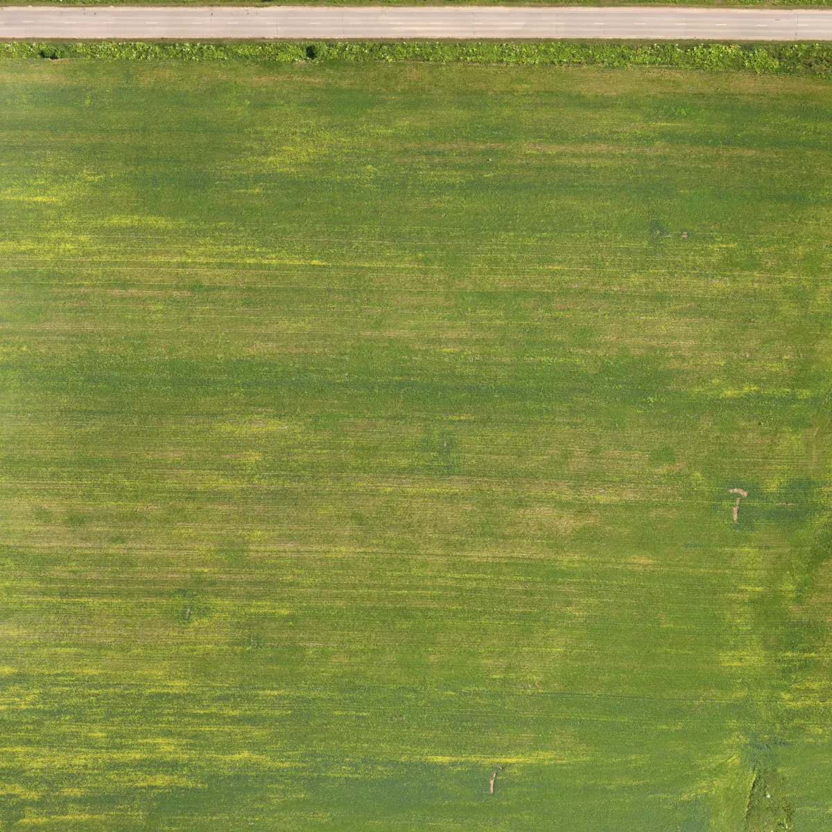 field summer 013 — Descargar
