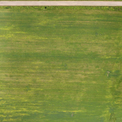 field summer 013 — Descargar