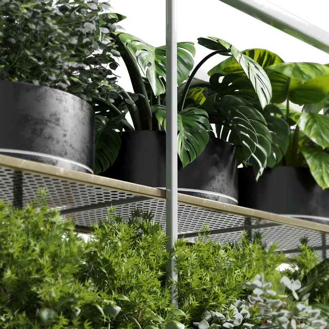 collection Indoor plants hanging pot-metal bax vase 11 — Descargar