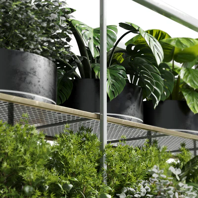 collection Indoor plants hanging pot-metal bax vase 11 — Ver 2