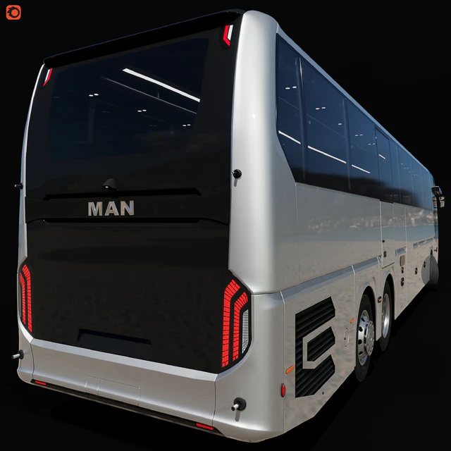 Lions Coach Efficient Line — Descargar