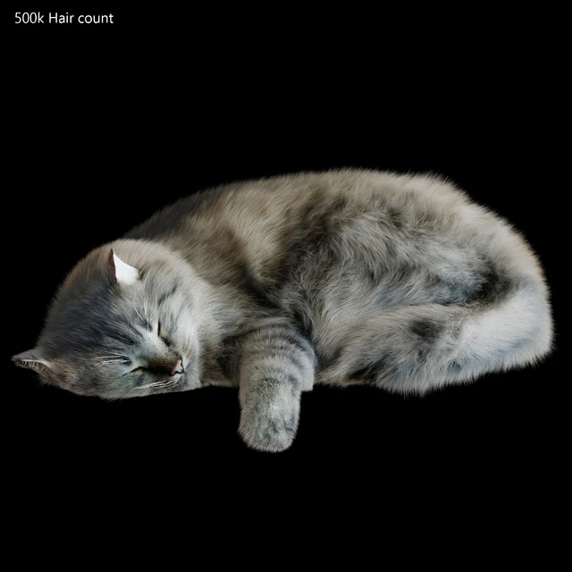 Cat Corona — Descargar