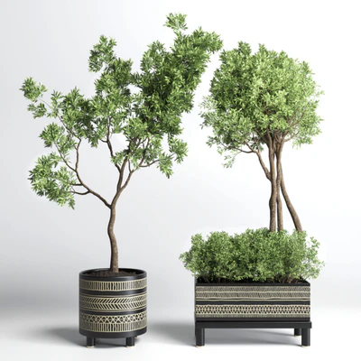 Collection Indoor plant 132 vase handmade pottery plant tree pot — скачать