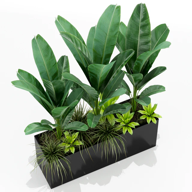 Plants collection 150 — Скачать