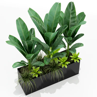 Plants collection 150 — Вид 3