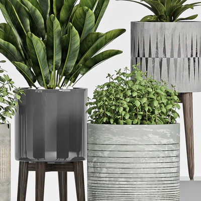 plant set-113 — Ver 2