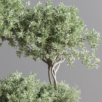Indoor Plant Set 59 — Ver 3