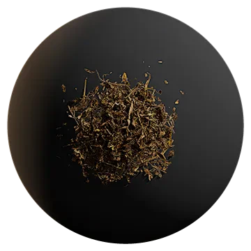 dry leaf debris 003 — Скачать
