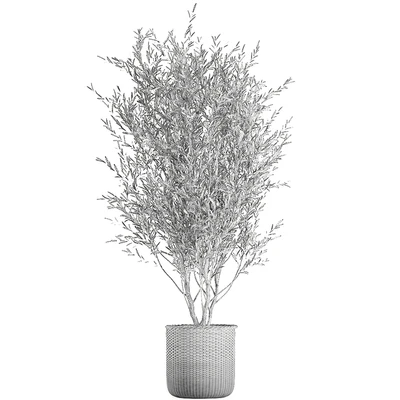 A beautiful little decorative olive tree in a wicker basket. Set 651. — Ver 3