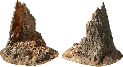 rotten tree stump 005 — Descargar