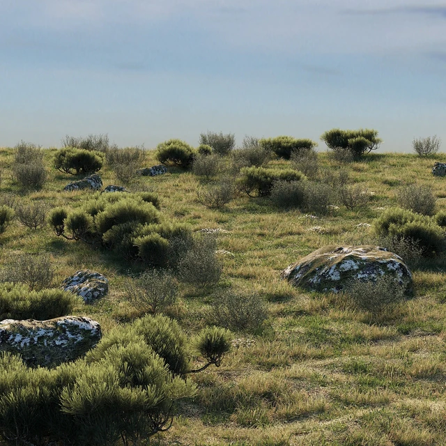 forest landscape — Descargar