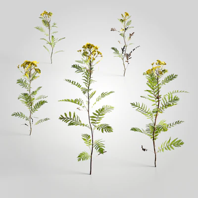 low poly plants 012 — Скачать