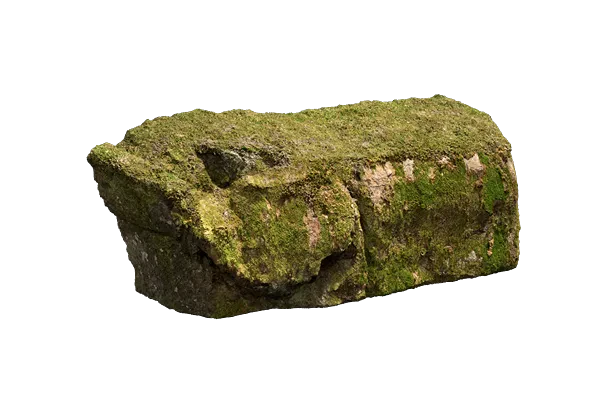 nordic forest ledge rock large 001 — Скачать