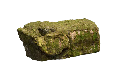 nordic forest ledge rock large 001 — Скачать
