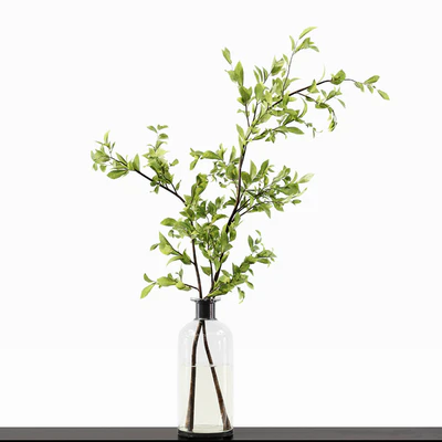 Collection Indoor Plants 015 — Ver 3