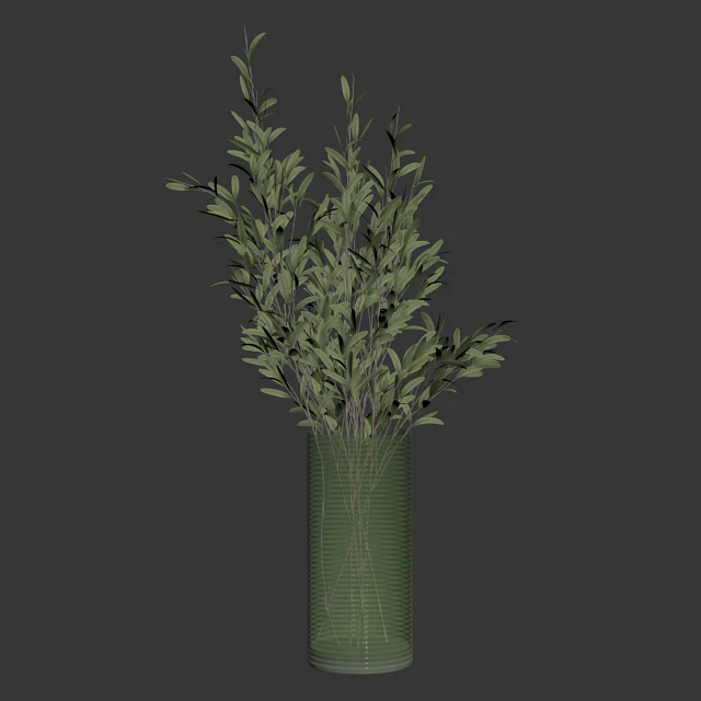 Olive stems in simple glass ribbed vase — Download
