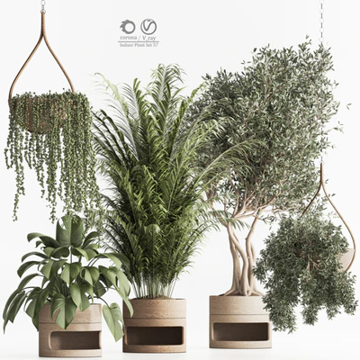 Indoor Plant Set 57 — скачать