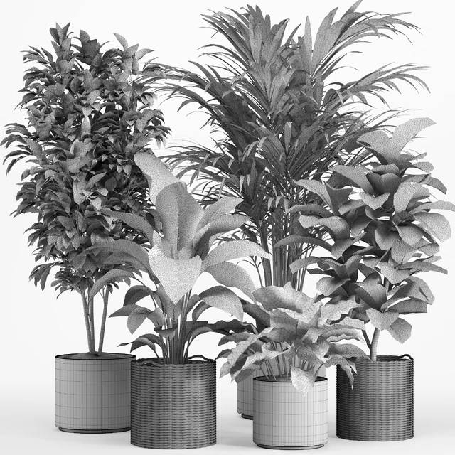 indoor plant set 014 — Скачать