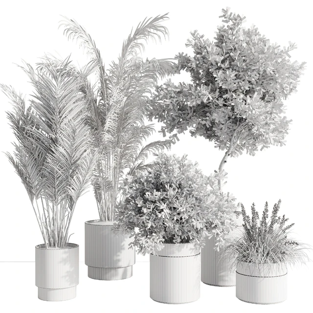 indoor plant set 57 — Скачать