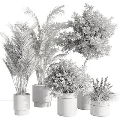 indoor plant set 57 — Вид 3