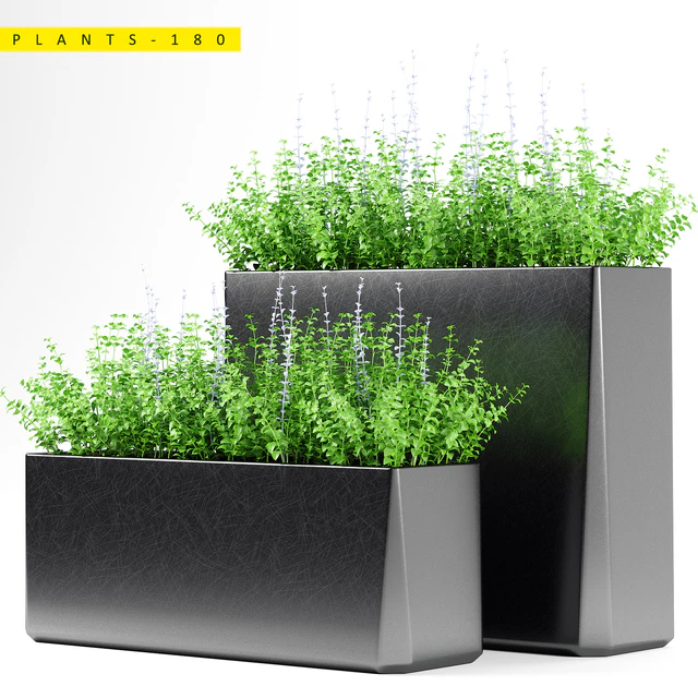 PLANTS 180 — Descargar