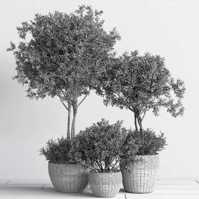 Indoor Plant Set 59 — Descargar
