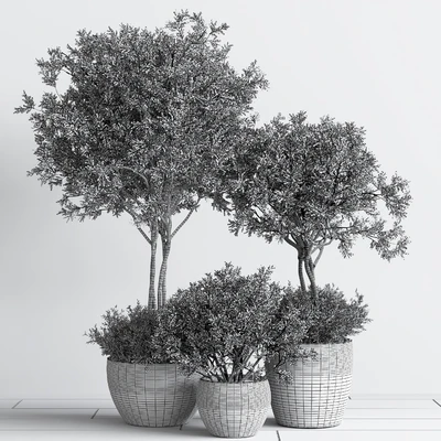 Indoor Plant Set 59 — Ver 4
