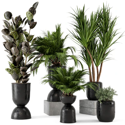 Indoor Plants in Ferm Living Bau Pot Large - Set 226 — Вид 1