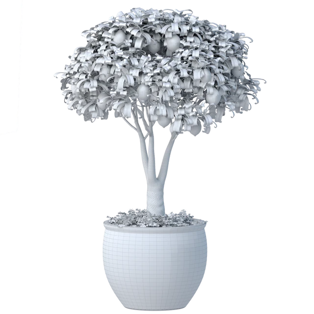 Lemon Tree in a potted flowerpot. Ornamental Citrus Indoor plant — Descargar