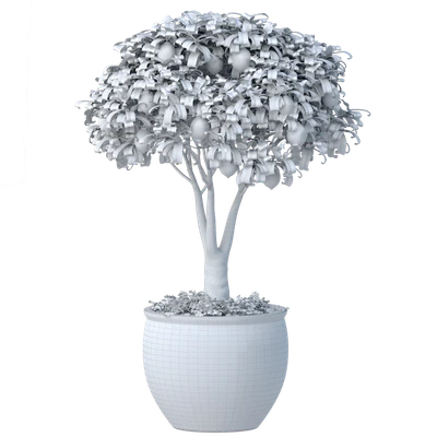 Lemon Tree in a potted flowerpot. Ornamental Citrus Indoor plant — Ver 2