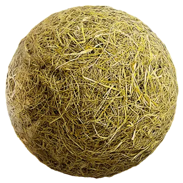 grass dried 059 — Descargar