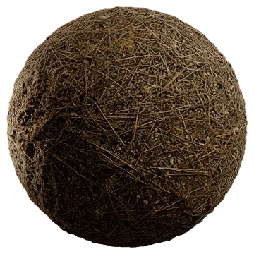 pine needles 014 — Скачать
